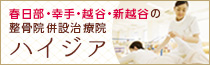 春日部・幸手・越谷・新越谷の整骨院併設治療院「ハイジア」